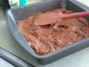 Put into 8x8 pan and spread around evenly